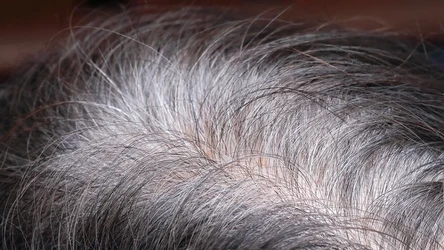 Nie musisz non stop farbować odrostów. Siwe włosy możesz zamaskować również, stosując domowe sposoby