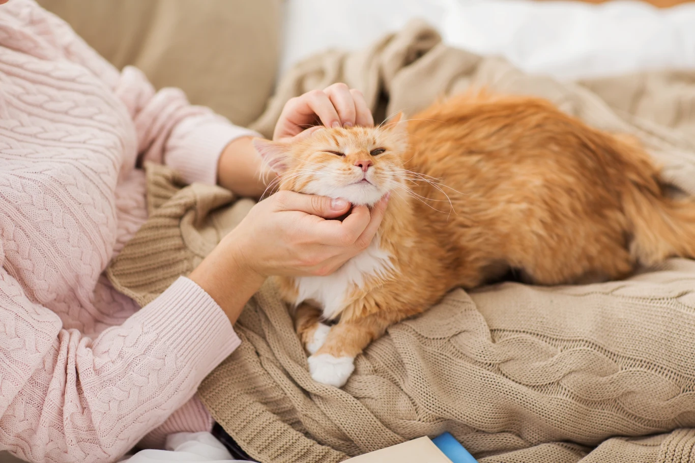 Felinoterapia, czyli leczenie kotem jest coraz popularniejsza Felinoterapia, czyli leczenie kotem jest coraz popularniejsza