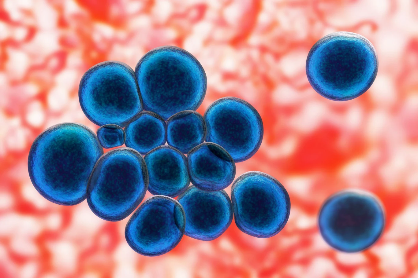 Ureaplazma długo nie daje objawów. Bakterią zarazisz się podczas stosunku Ureaplazma długo nie daje objawów. Bakterią zarazisz się podczas stosunku