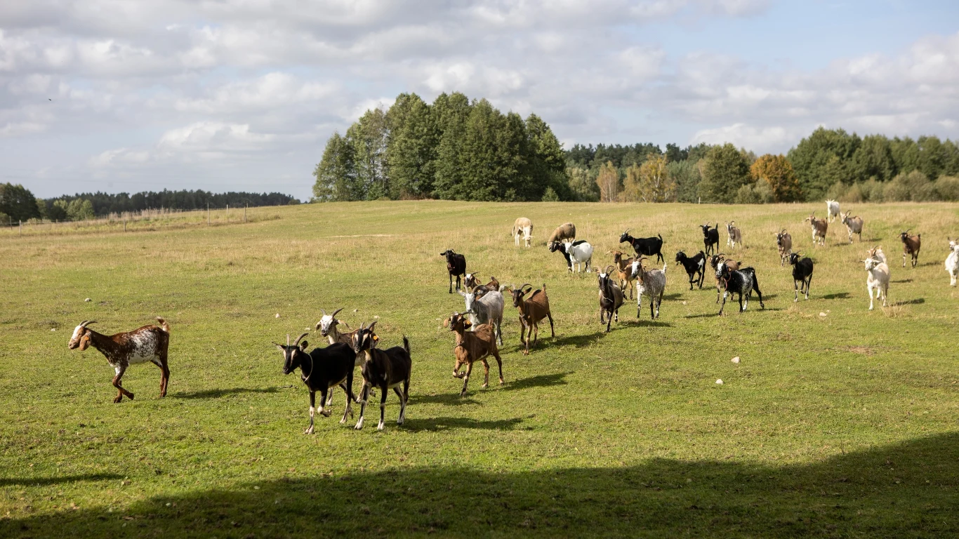 Rolnicy.Podlasie to autentyczna opowieść o życiu rolników na Podlasiu Rolnicy.Podlasie to autentyczna opowieść o życiu rolników na Podlasiu