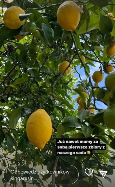 Willa Kingi Rusin w Kostaryce