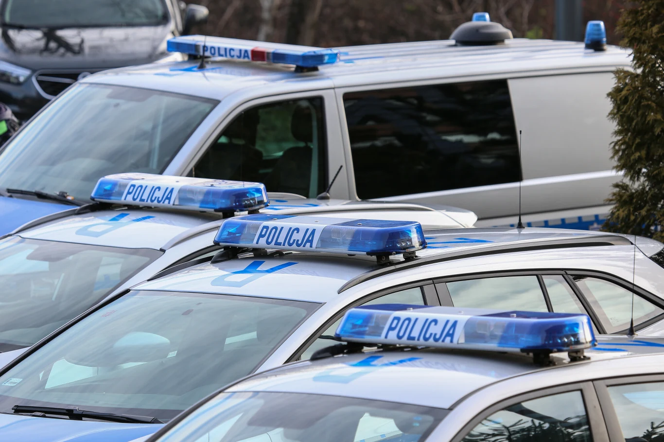 W akcji biorą udział radiowozy oznakowane i nieoznakowane W akcji biorą udział radiowozy oznakowane i nieoznakowane