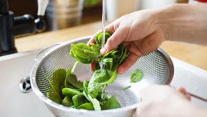 Ulubiona zielenina jest zdrowa, ale nie dla każdego. Na szpinak powinny uważać osoby chorujące na nerki 