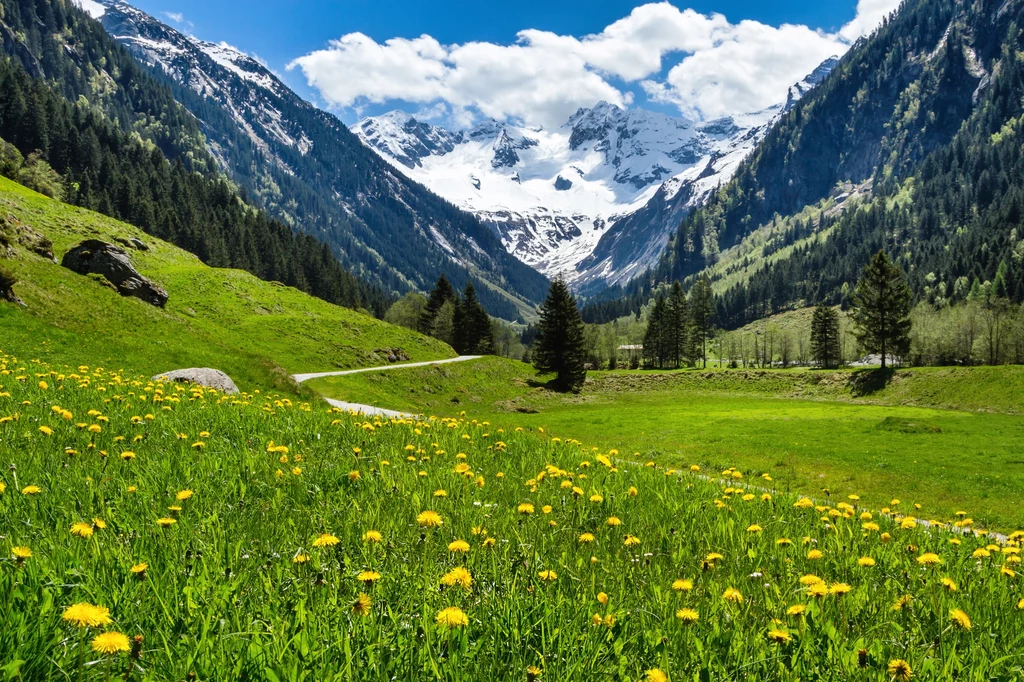 Tyrol przyciąga nie tylko zimą