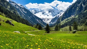 Tani raj w sercu Alp. Austriacki Tyrol zaskakuje także latem 
