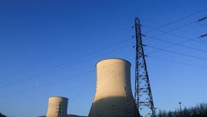 Niemcy mówią "nie" dla uznania atomu za zielony