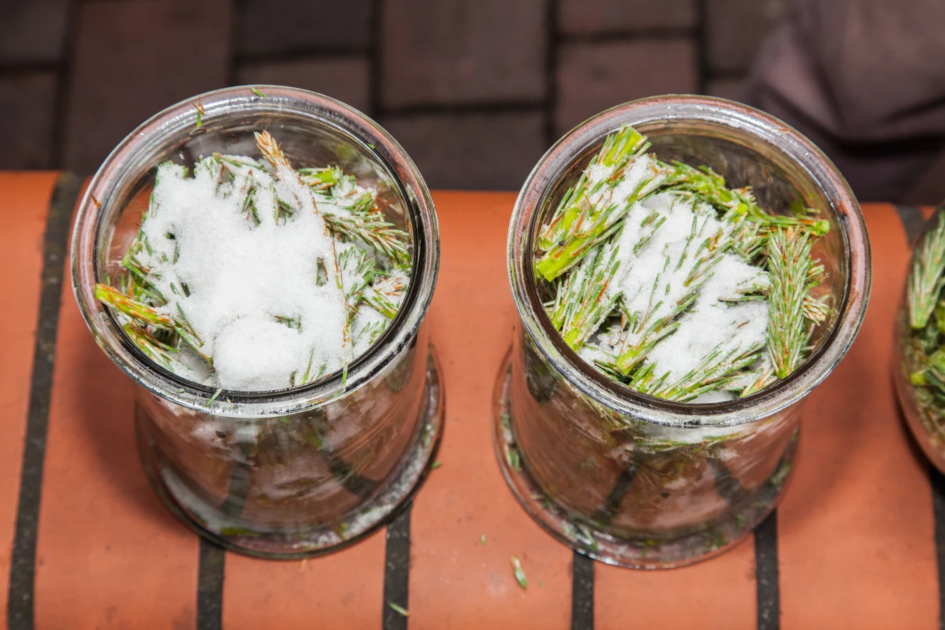 Syrop z młodych pędów sosny łagodzi kaszel, jest idealny na przeziębienie, wzmacnia odporność