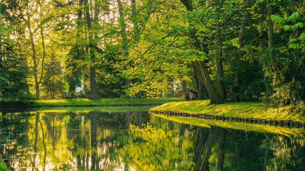 Park Oliwski daje przestrzeń do głębszego oddechu