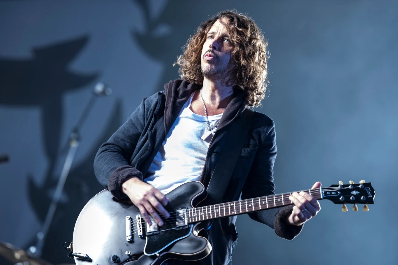 17 maja 2017 roku Chris Cornell dał wyczekiwany występ w Detroit z zespołem Soundgarden. "Nareszcie wróciliśmy do Miasta Rocka!" - napisał tego dnia na Twitterze. Koncert zakończył się o godzinie 23:30, następnie artysta wraz ze swoim ochroniarzem, Martinem Kirstenem udał się do pokoju hotelowego. Tam Kirsten pomógł muzykowi pomógł przy usterce komputera oraz podał mu dwie tabletki Atvianu na jego lęki. Niedługo później Cornell zadzwonił do swojej żony, Vicky Cornell. Według niej Chris bełkotał przez słuchawkę oraz przyznał się, że wziął za dużą dawkę Atvianu. Następnie miał powiedzieć "że jest zmęczony" oraz nagle się rozłączyć. Zachowanie Cornella zaniepokoiło jego żonę, która skontaktowała się z jego ochroniarzem. Ten poszedł sprawdzić, czy u wokalisty wszystko jest w porządku. Nie mógł jednak do stać się do pokoju, gdyż drzwi zostały zatrzaśnięte. Vicky skontaktowała się więc z ochroną hotelu, która wraz z Kirstenem wyważyła drzwi.