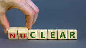 Reaktor BWRX-300 to technologia najbliższa wdrożeniu