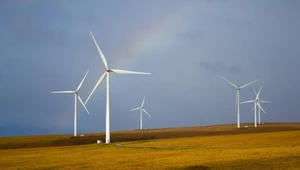 Zapowiedziano potężny wzrost mocy elektrowni wiatrowych na Morzu Północnym
