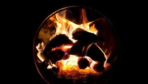 Polacy kupują opał na zimę bojąc się o dostawy 