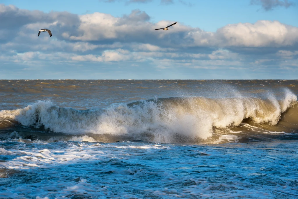 Silny wiatr i wysokie fale to najlepsza pogoda na spacer po plaży, wtedy właśnie znajduje się największa zawartość jodu w powietrzu