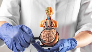 Krótkie jelito zaburza procesy wchłaniania. Może doprowadzić do śmierci