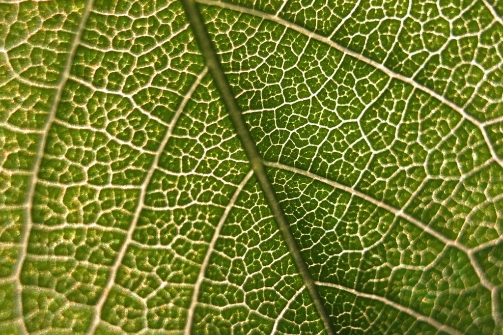 W skali milionów lat ilość CO2 w atmosferze zależy od równowagi pomiędzy emisją gazu z wulkanów a jego usuwaniem w wyniku reakcji chemicznych z nowo odsłoniętymi skałami. 