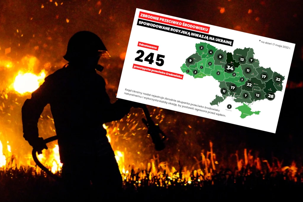 Polski resort klimatu i środowiska zaprezentował zatrważające dane na temat zniszczeń, jakie wyrządzili rosyjscy żołnierze środowisku naturalnemu Ukrainy