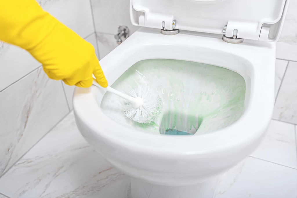 By chronić dłonie przed drażniącymi środkami, podczas czyszczenia toalety należy używać rękawiczek ochronnych