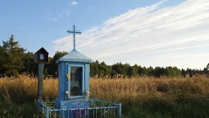 Spotykają się na ulicach miast i wsi. Jaki jest fenomen "majowych"?