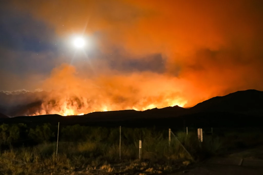 Z roku na rok coraz łatwiej o katastrofalne pożary z powodu zmian klimatu (zdjęcie ilustracyjne).