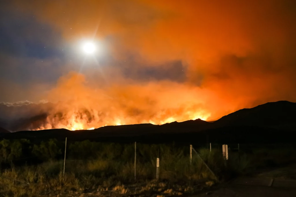 Z roku na rok coraz łatwiej o katastrofalne pożary z powodu zmian klimatu (zdjęcie ilustracyjne). Z roku na rok coraz łatwiej o katastrofalne pożary z powodu zmian klimatu (zdjęcie ilustracyjne).