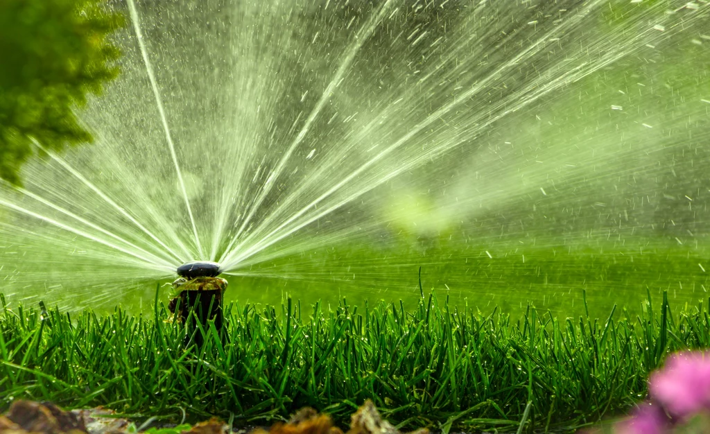 Pomocne w oszczędzaniu i walce z suszą mogą być również zraszacze ogrodowe.