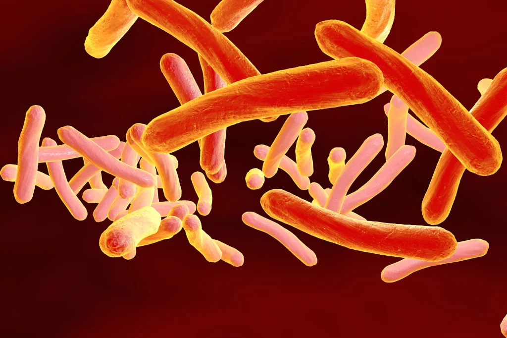 Prątki Mycobacterium tuberculosis wywołują gruźlicę i stają się coraz bardziej lekooporne na dostępne antybiotyki Prątki Mycobacterium tuberculosis wywołują gruźlicę i stają się coraz bardziej lekooporne na dostępne antybiotyki
