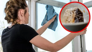 Sposób na smugi podczas mycia okien – czarna herbata