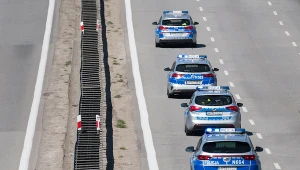 Policyjna obława. Zdjęcie ilustracyjne