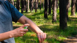 Uwaga na kleszcze! W Polsce przypadków boreliozy jest znacznie więcej niż przed rokiem