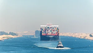 Polskie jabłka utknęły w egipskich portach