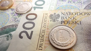 W kwietniu firmy pożyczkowe udzieliły łącznie 271,5 tys. nowych pożyczek