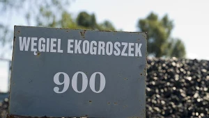 Ekogroszek jest coraz droższy. Polacy już teraz robią zapasy węgla na zimę.