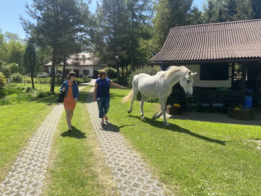 Działka Elżbiety Zyskowskiej Działka Elżbiety Zyskowskiej