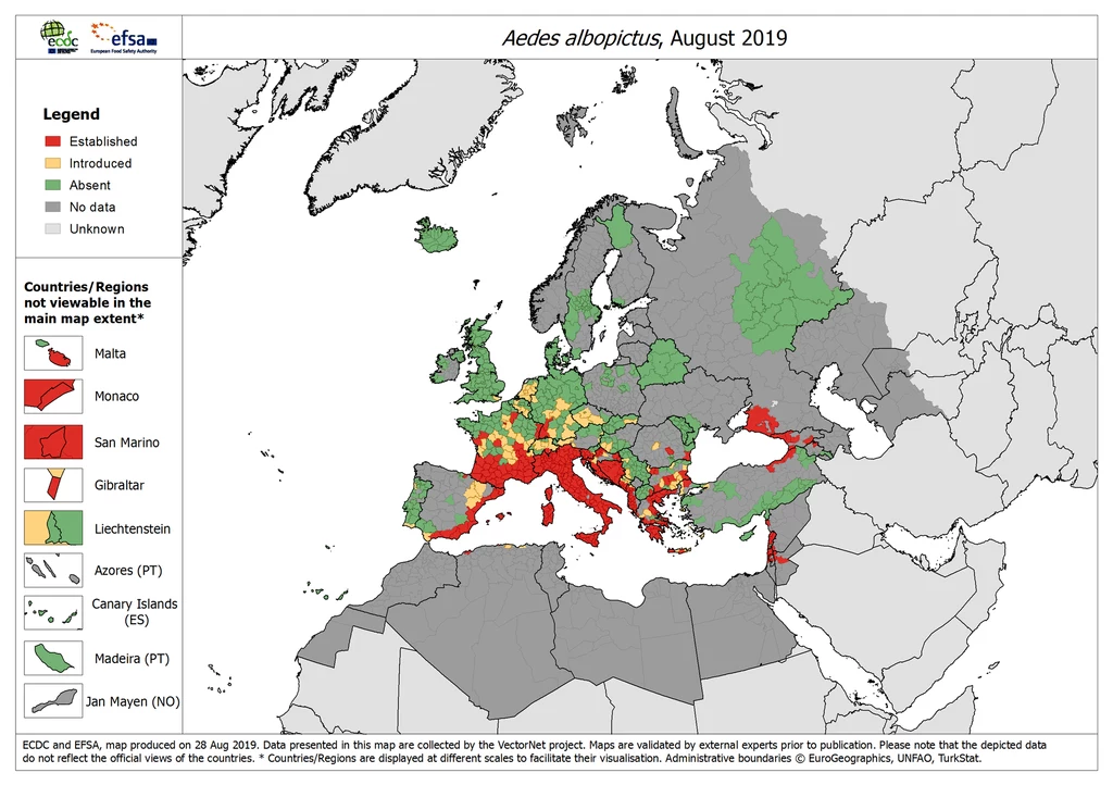 Komar tygrysi w Europie. Badania Europejskiego Centrum ds. Zapobiegania i Kontroli Chorób z 2019 roku