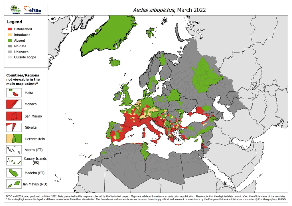Komar tygrysi w Europie. Porównawcza mapa ECDC z 2022 roku