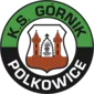 Górnik Polkowice