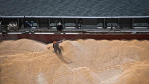 Rynki boją sie o podaż pszenicy 