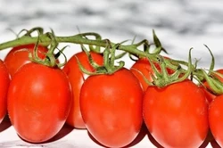 Promocje Pomidory