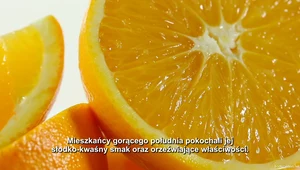 "Na zdrowie": Pomarańcze na odporność i urodę