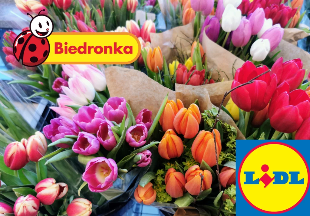 Promocje w Biedronce i Lidlu 25.05.2022. Co kupimy na Dzień Mamy? Oferty z gazetek promocyjnych