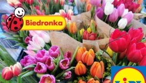 Promocje w Biedronce i Lidlu. Gazetki promocyjne na Dzień Matki. Co kupimy 25.05?