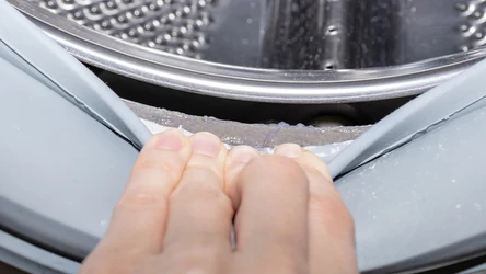 Uszczelka w pralce to siedlisko brudu. Gromadzi się pod nią cała masa zanieczyszczeń