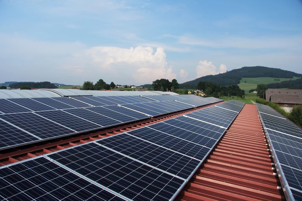 WWF i inne organizacje ekologiczne zaapelowały do premiera Mateusza Morawieckiego o ułatwienia dla producentów energii ze słońca 