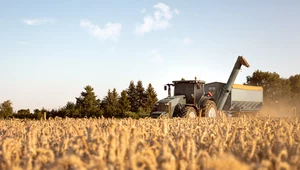 Polsce absolutnie nie grożą niedobory zbóż