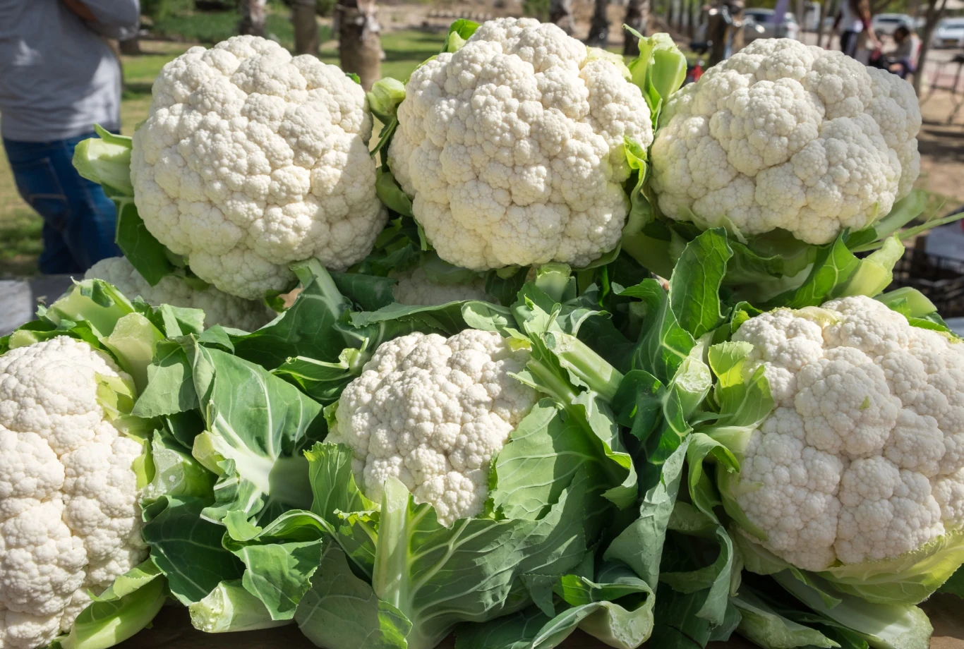Kalafiory z własnej uprawy nie muszą być gorzkie. Wystarczy, że nie będziesz popełniać niektórych błędów w ich pielęgnacji. 