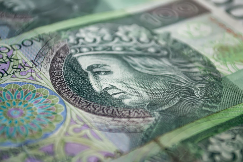 Banknot z nietypowym szczegółem. Jeśli go masz, sprzedasz za krocie.