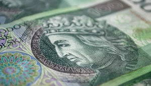 Banknot z nietypowym szczegółem. Jeśli go masz, sprzedasz za krocie.