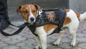 Patron został już odznaczony przez prezydenta Zełenskiego. Teraz dostał nagrodę w Cannes