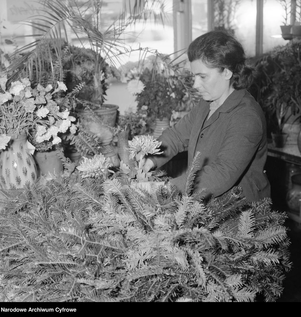 Stoisko z kwiatami. Kwiaciarka Janina Bichel podczas pracy na stoisku, 1967 r.