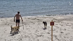 Tabliczka ostrzegająca o zagrożeniu minami na plaży w Odessie
